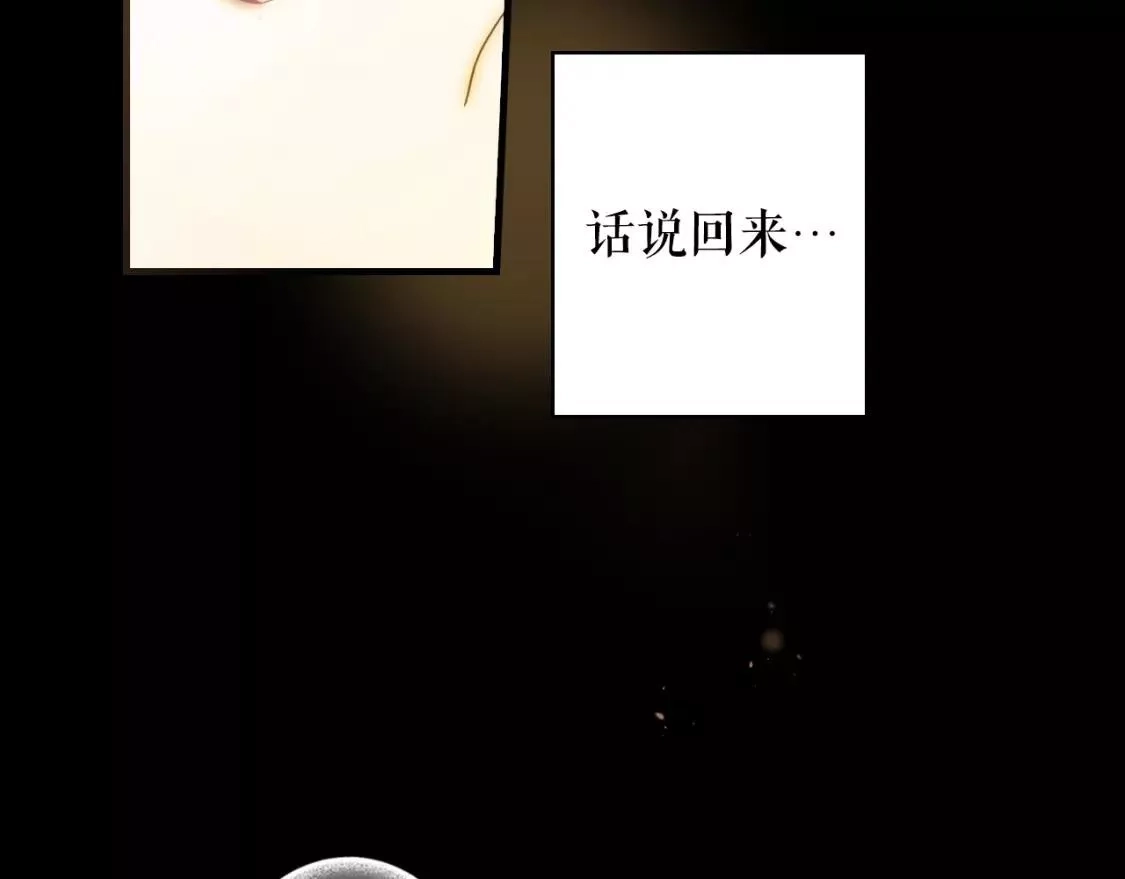 某个继母的童话故事,第94话 没有来处的宝石盒,第155张