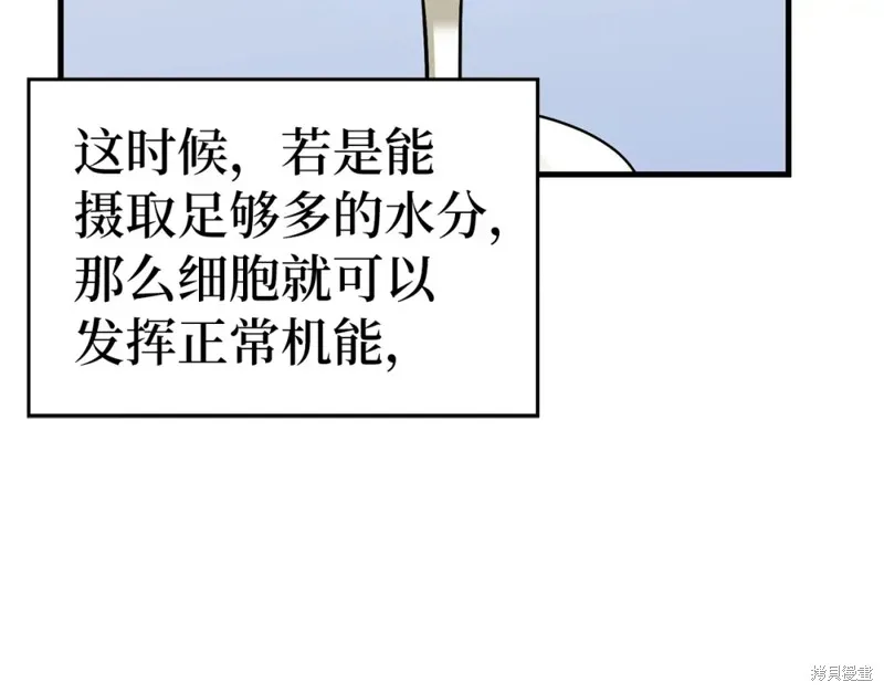 圣子是什么狗屁，这是现代医学的力量,第31话,第19张