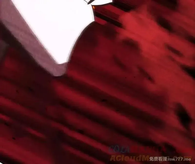 网游之天下无双【重制版】,第88话 以命为剑斩魔,第233张