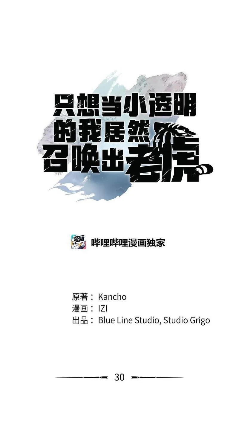 只想当小透明的我居然召唤出老虎,30 对面的人,第32张