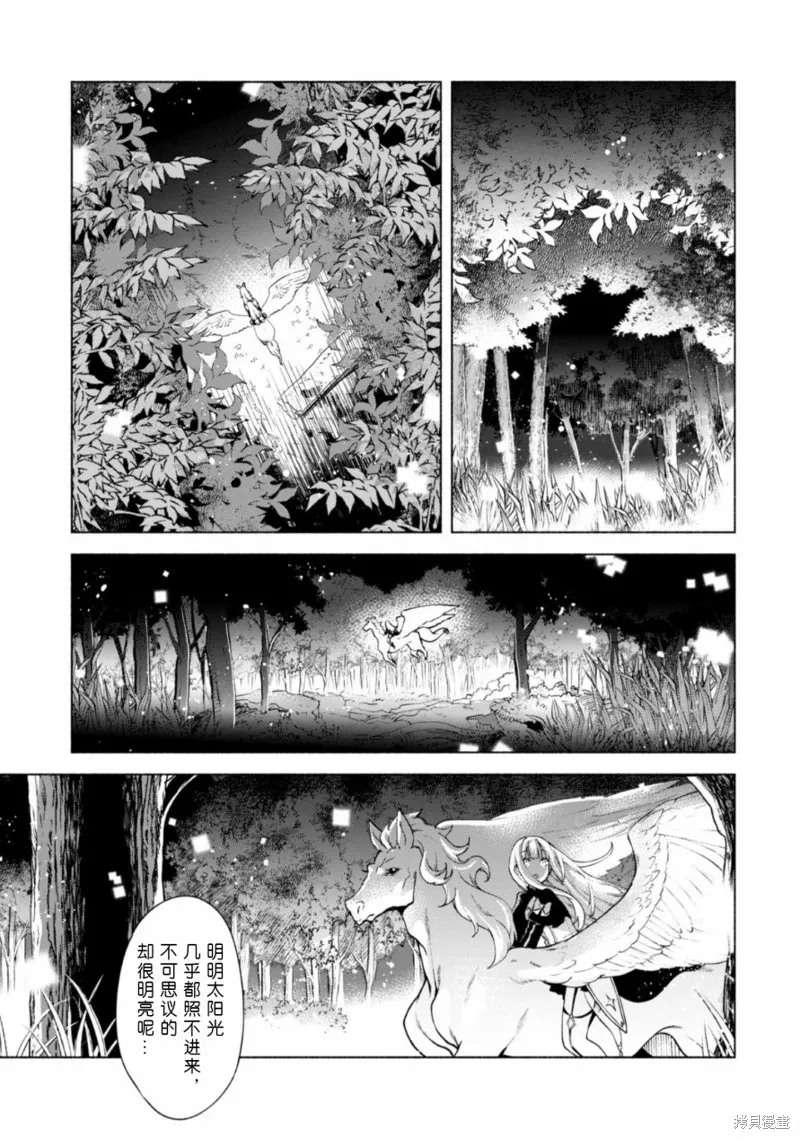 自称贤者弟子的贤者,第40.5话,第3张