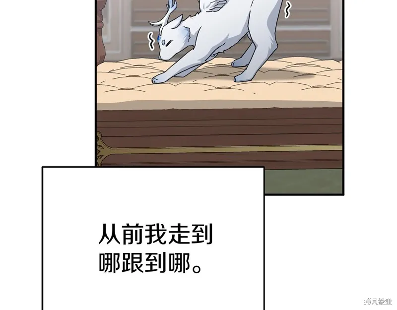 我在死敌家当团宠,第65话,第204张